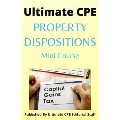 Property Dispositions 2024 Mini Course